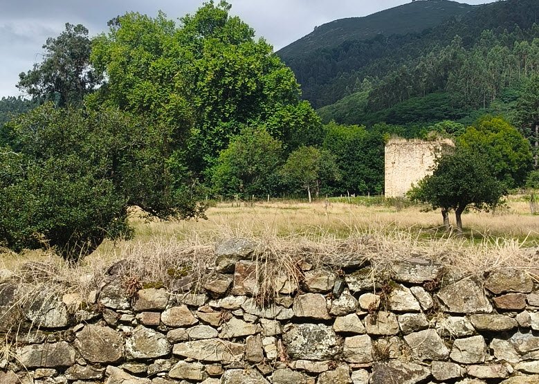 Torre de Riaño, Spain